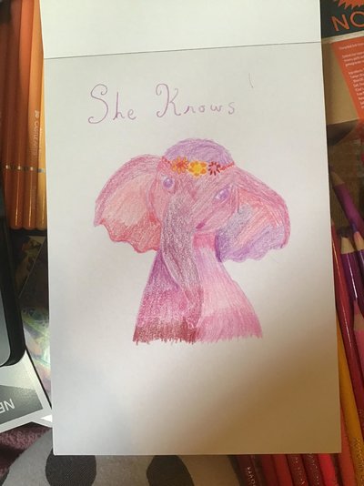 My Artwork Elephant She Knows Coloured Pencils.jpg