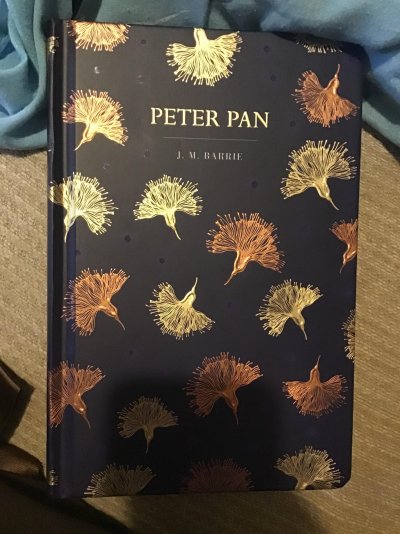 Peter Pan - J. M. Barrie Chiltern Shiny Hardcover Homesense.jpg